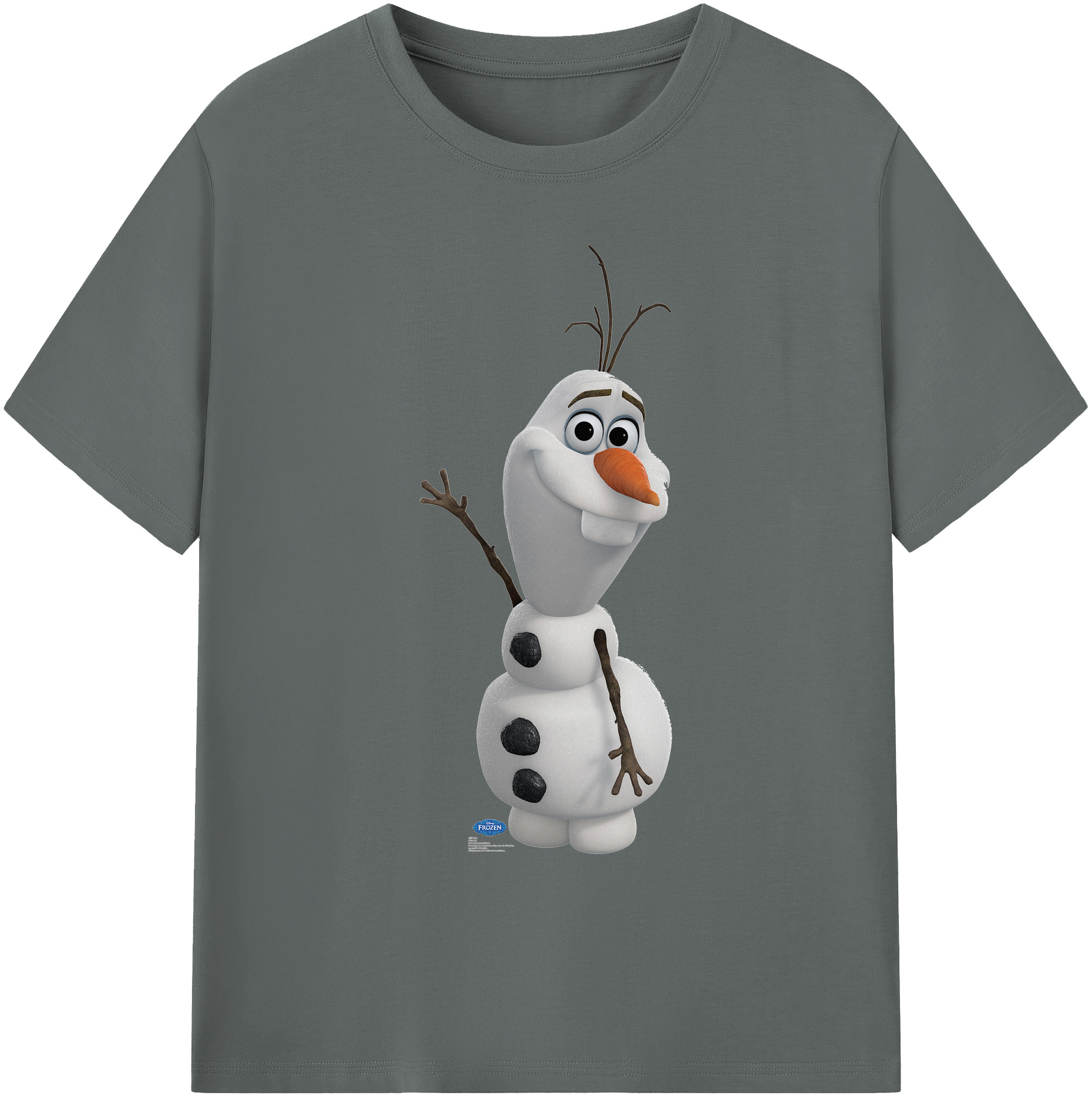 （画像用） アナと雪の女王 アンナ エルサ Frozen Anna Elsa 綿100％ メンズ半袖Tシャツ｜肌触りやわらか＆通気性
